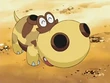 EP513 Hippopotas