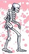 C4 Skeleton