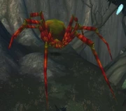 Terokkarantula