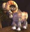Ram