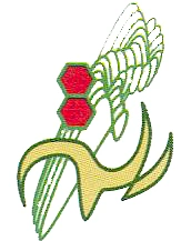 Slayn Korpil.png