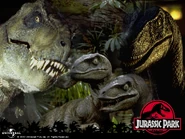 JP-DesktopBackground1
