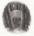 AragogSpider.jpg