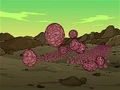 Spheriods