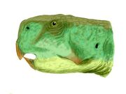 Psittacosaurus lujiatunensis BW