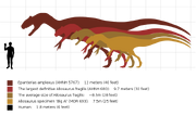Allosaurus size comparison.svg