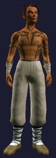 Tunic of Echoes (Visible, Male).jpg