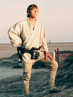 133946 skywalker l.jpg