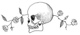Beedlethebard