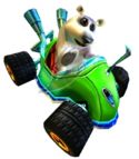 Crash Polar