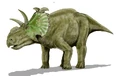 Albertaceratops BW.jpg