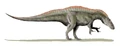 Acrocanthosaurus BW.jpg