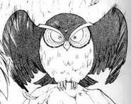 Owl (manga)