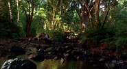 River4x06