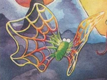 Spiderflyinsect