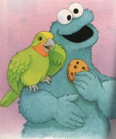 Patriciareissue