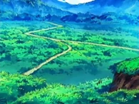 EP482 Bosque