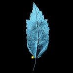 600px-LeafGlyph