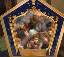 American National Quidditch team