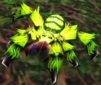 Image of Webwood Spider