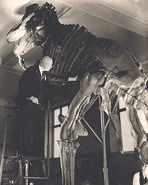 Brown-t-rex-300