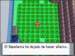 Los efectos de repelente se acaban en DP