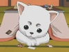 Sadaharu undertable