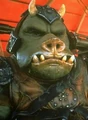 Rogua.JPG