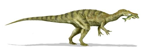 baryonyx bones