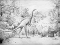 Struthiomimus12.jpg