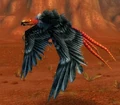 Buzzard.jpg