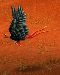 Image of Giant Buzzard