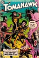 Tomahawk Vol 1 28
