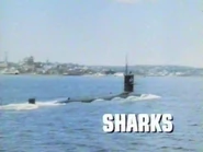 Sharks