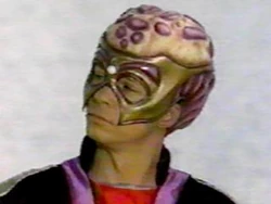MMPR Aurico