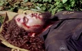 5x13 Alvarez