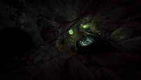 Gravemind Halo3