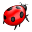 Bug