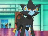 EP528 Luxray