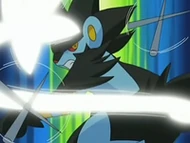 EP528 Luxray usando cola férrea (2)
