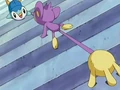 EP529 Aipom agarrando a Piplup.png