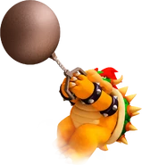 Bowser 23