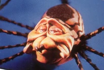 Mothergoosespider