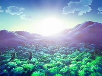EP500 Amanecer