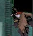 Chimera-bcffvii