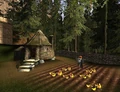 Hagrid's hut 03.jpg