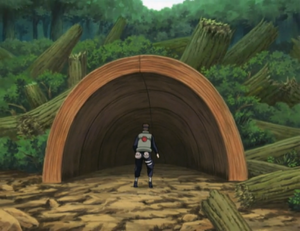 http://images3.wikia.nocookie.net/__cb20090428174458/naruto/images/thumb/d/d5/Wood_element.PNG/300px-Wood_element.PNG