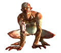 Trog
