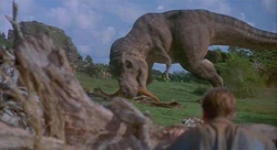 Tyrannosaurus Eating