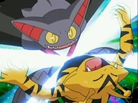 EP533 Gliscor usando tijera X contra Electabuzz